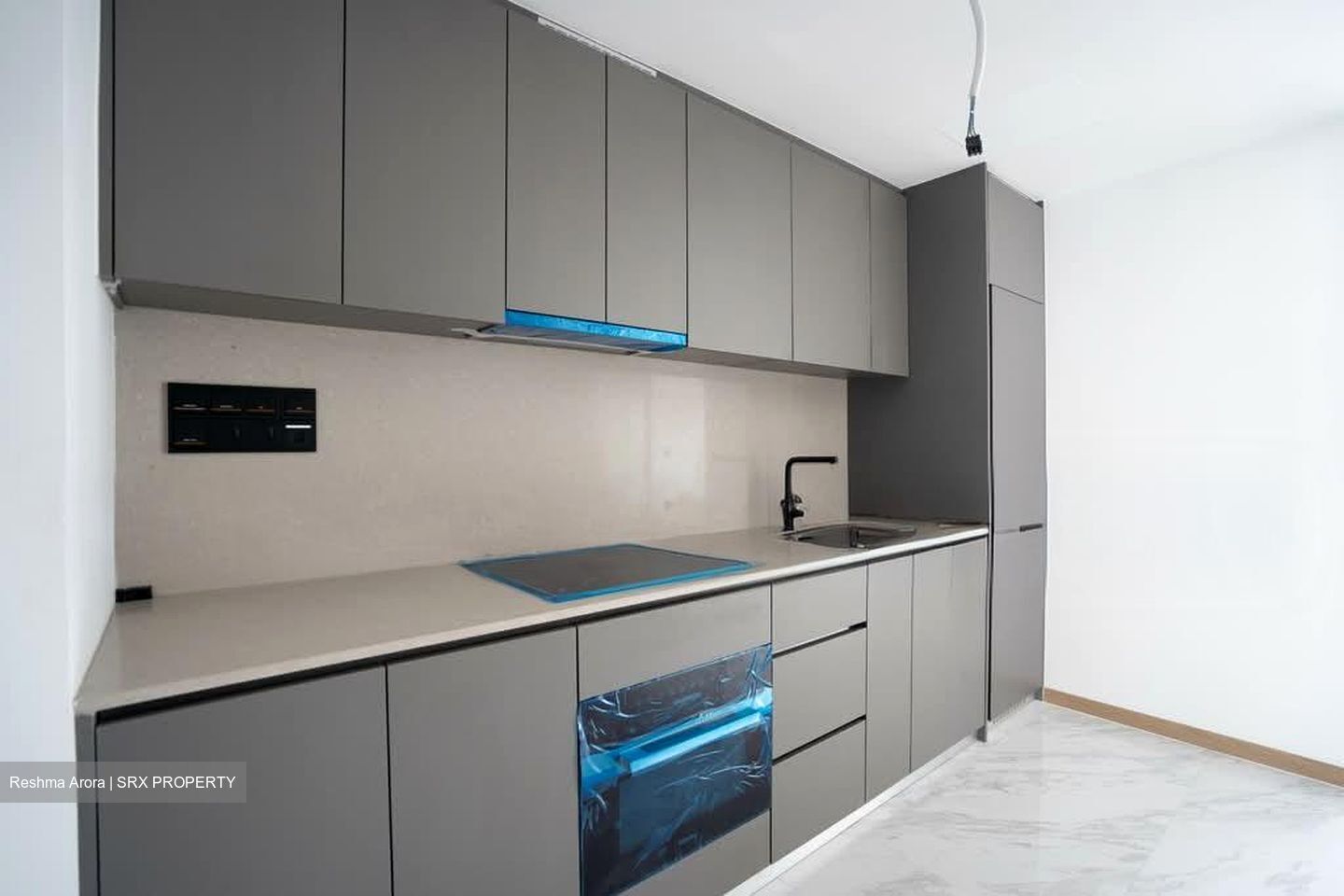The Landmark (D3), Condominium #561674061